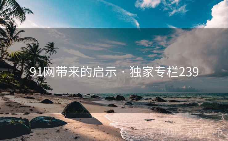91网带来的启示 · 独家专栏239