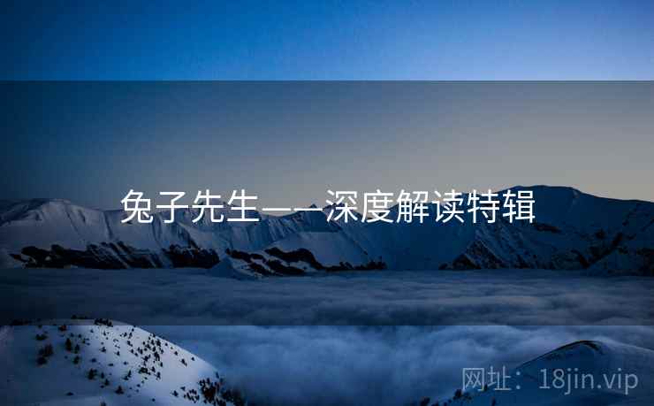 兔子先生——深度解读特辑