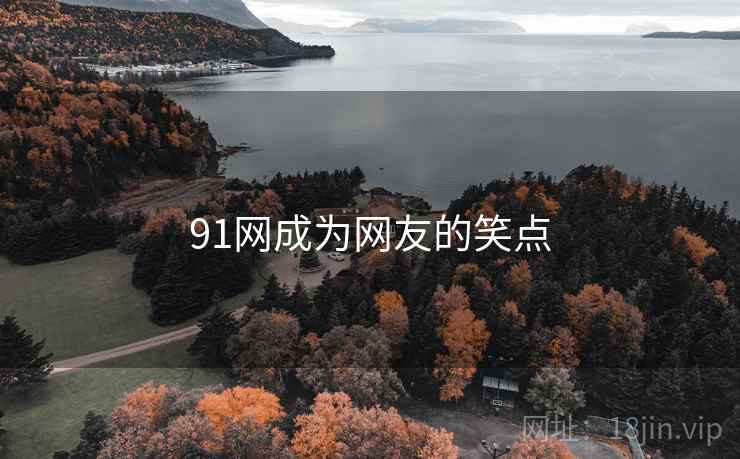 91网成为网友的笑点