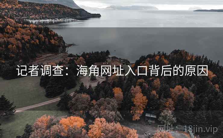 记者调查：海角网址入口背后的原因